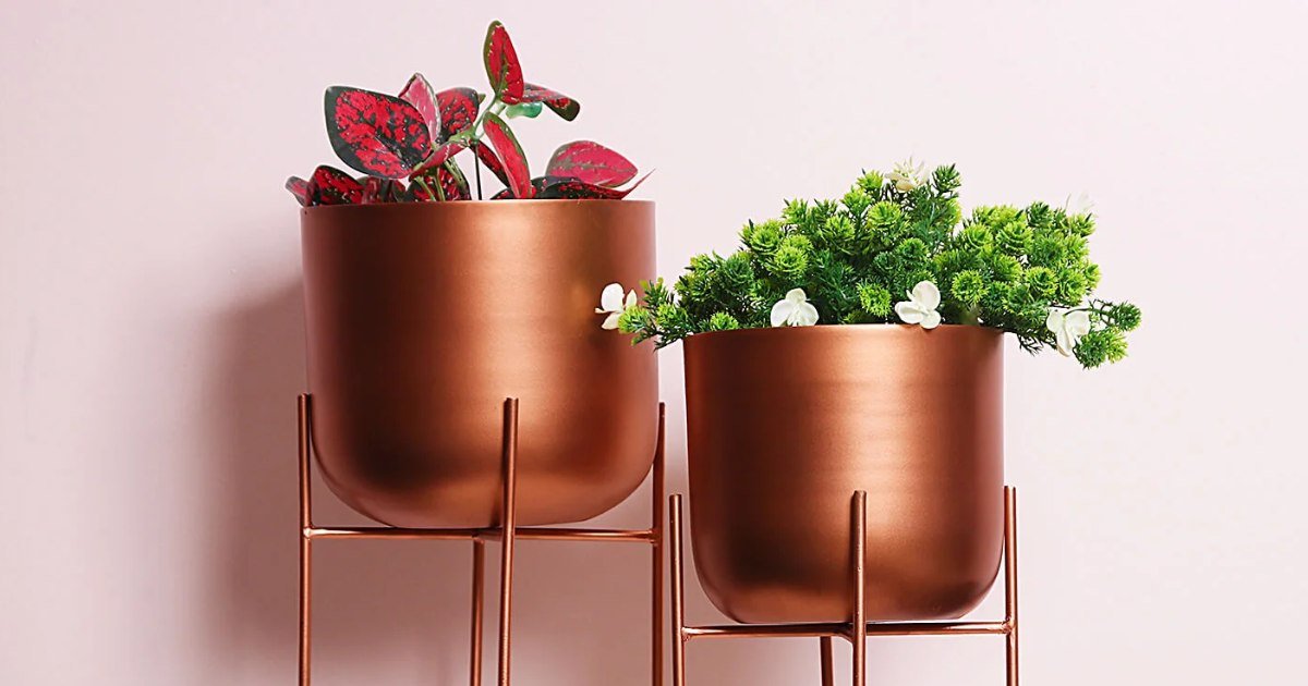 Indian Artisans Karigary - Stylish Plant Stand Ideas for Modern Homes