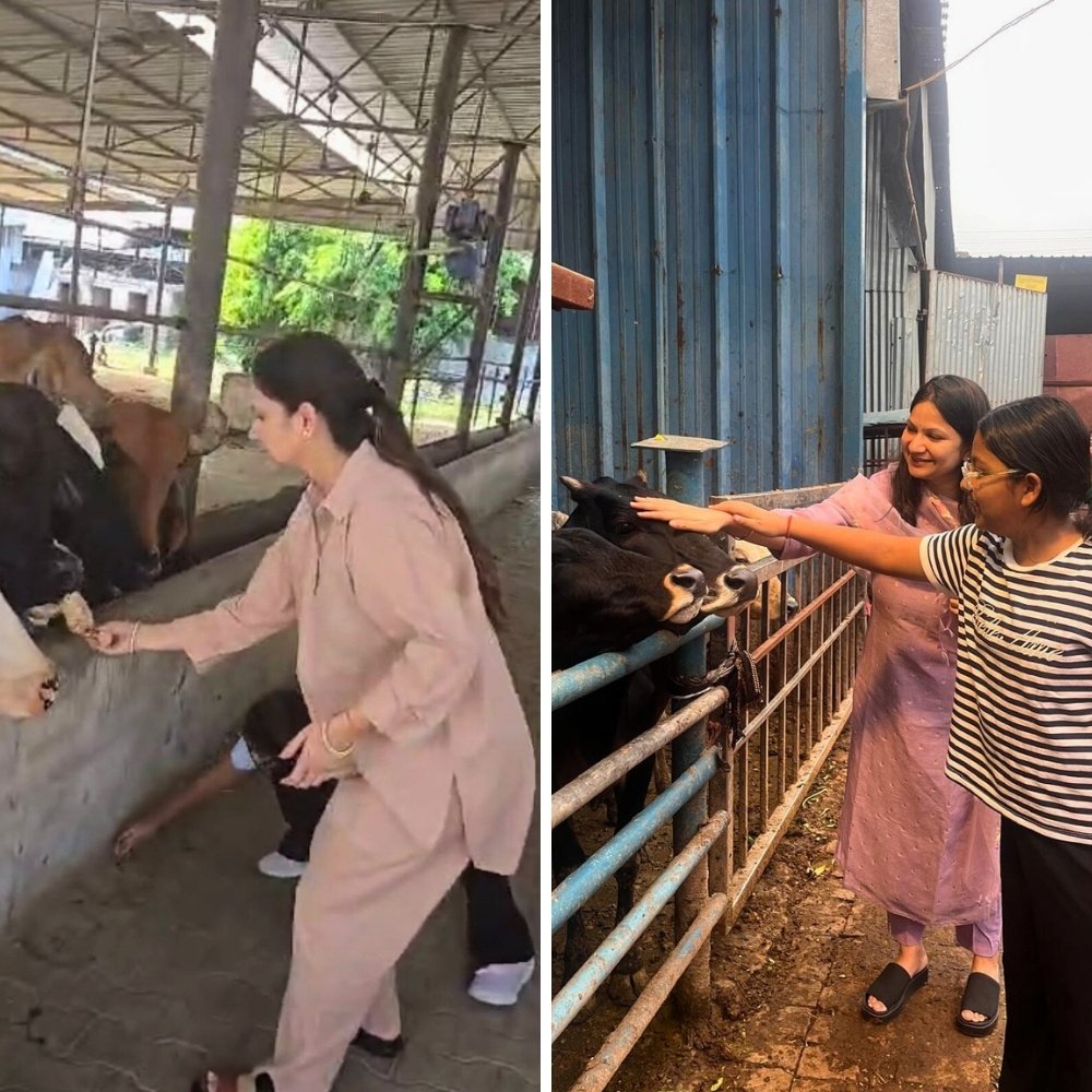 Karigary&mdash;Refreshing drinks service during scorching summer season