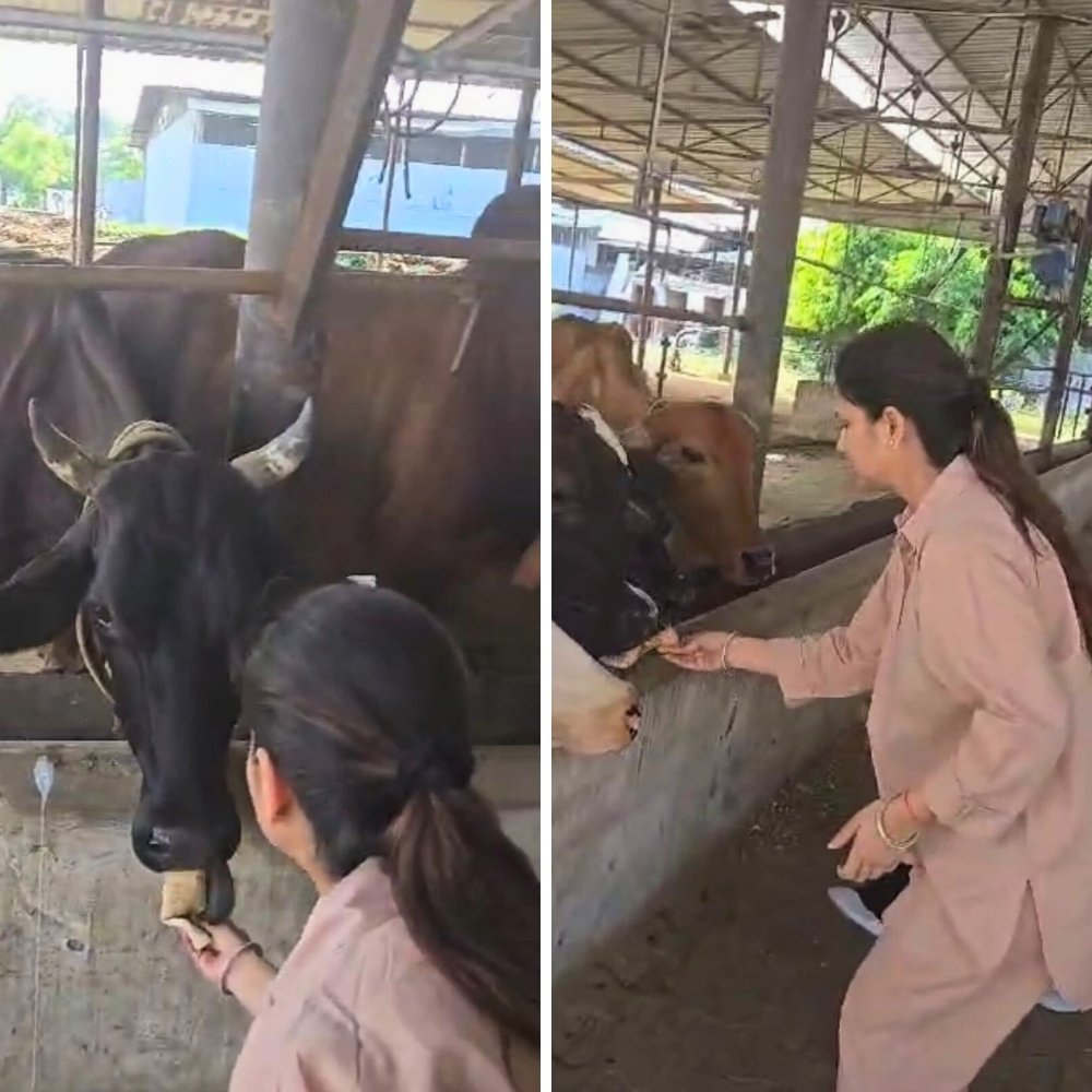 Karigary&mdash;Refreshing drinks service during scorching summer season