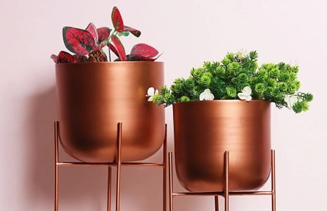 Indian Artisans Karigary - Stylish Plant Stand Ideas for Modern Homes